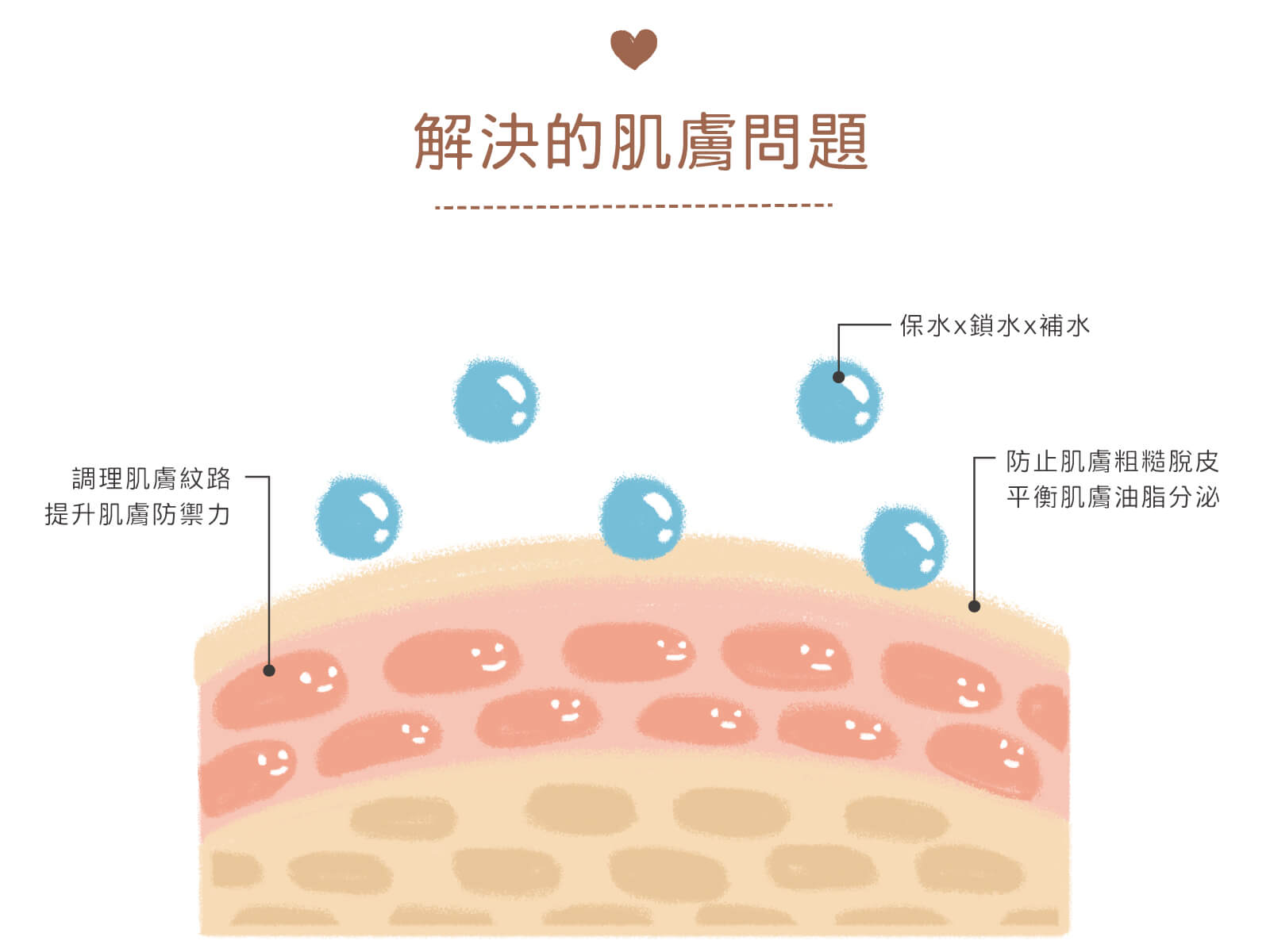 產品介紹圖片